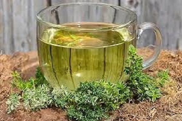 تصویر 3 از خرید و فروش عرق آویشن اصل با شرایط فوق العاده